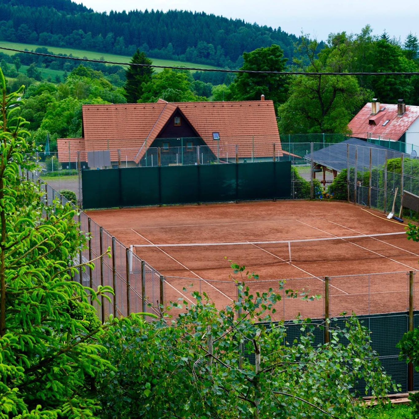 tenis